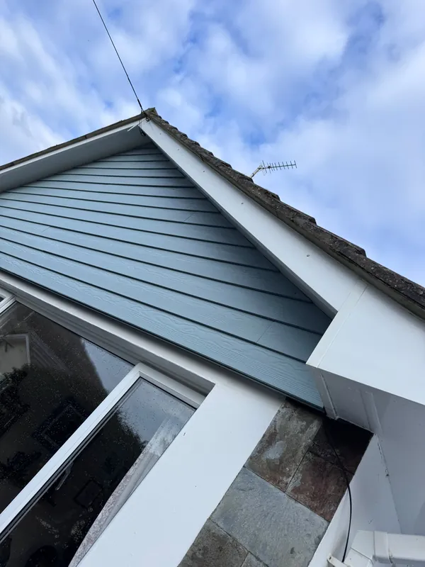 House cladding after softwashing — restored finish
