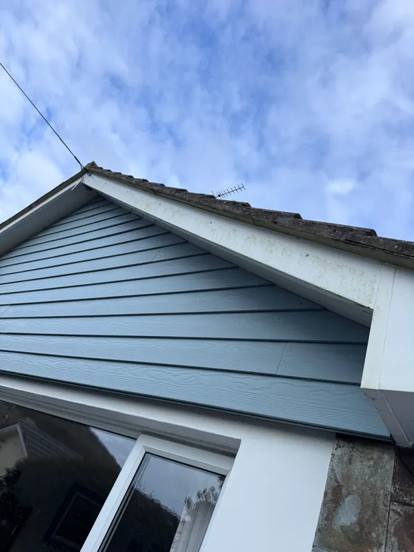 House cladding before softwashing — moss and grime