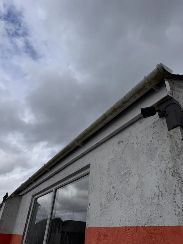 Commercial gutters and downpipes before cleaning — heavy moss build-up
